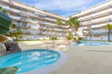 Apartamento en Rosas / Roses - 166-Precioso ático con piscina en...